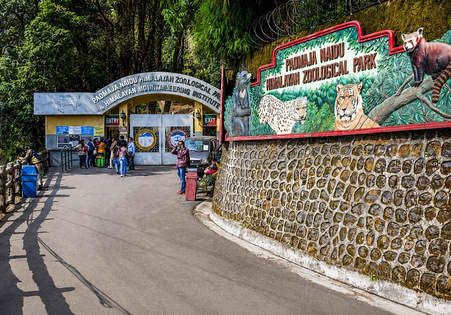 Hidden gems in Darjeeling — Padmaja Naidu Himalayan Zoological Park, home to red pandas and snow leopards