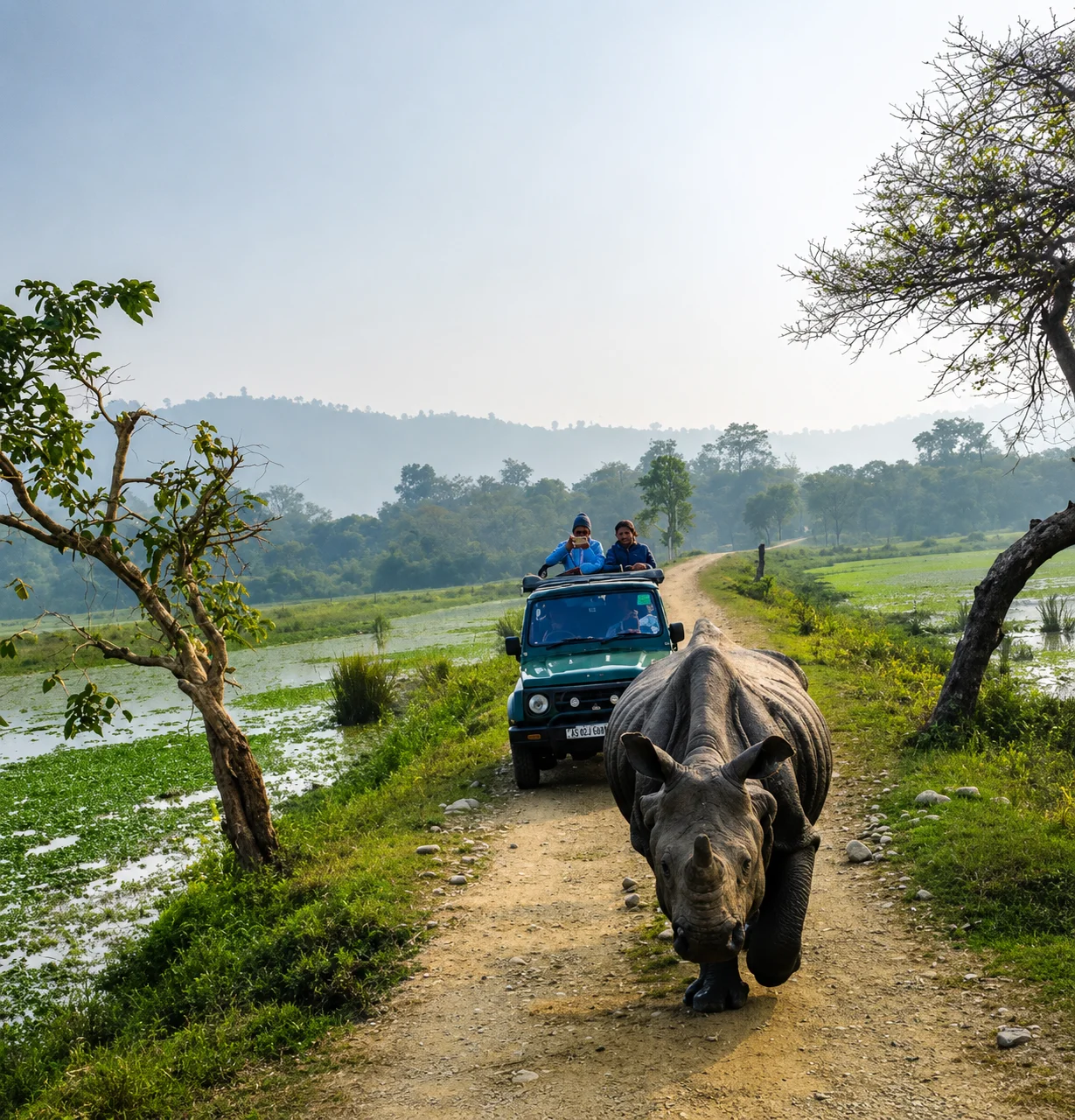 First Time in Northeast India? Read This Before You Book Anything
